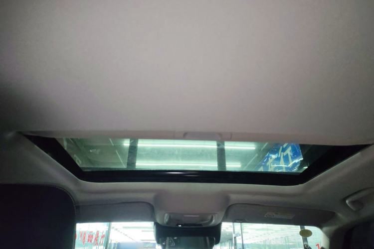 Used Tank 300 2024 2.0T Conqueror
