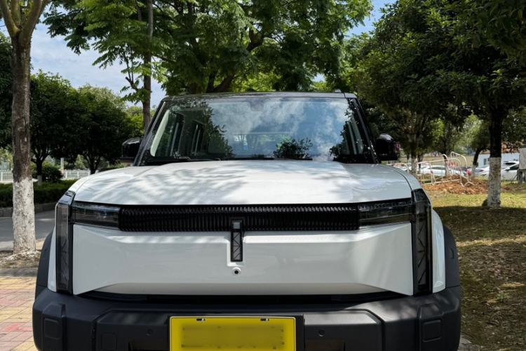 Used  03 2024 501km Two-Wheel Drive Long-Range Version
