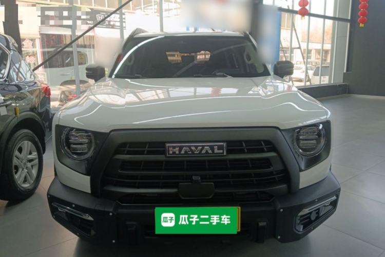Used Haval DARGO 2024 2.0T DCT Chinese Rural Dog Edition
