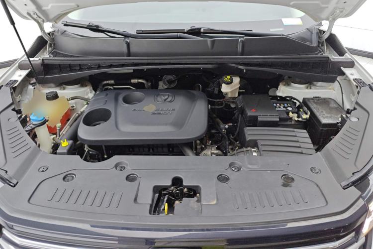 Used Changan CS55PLUS 2020 1.5T Automatic Colorful Model
