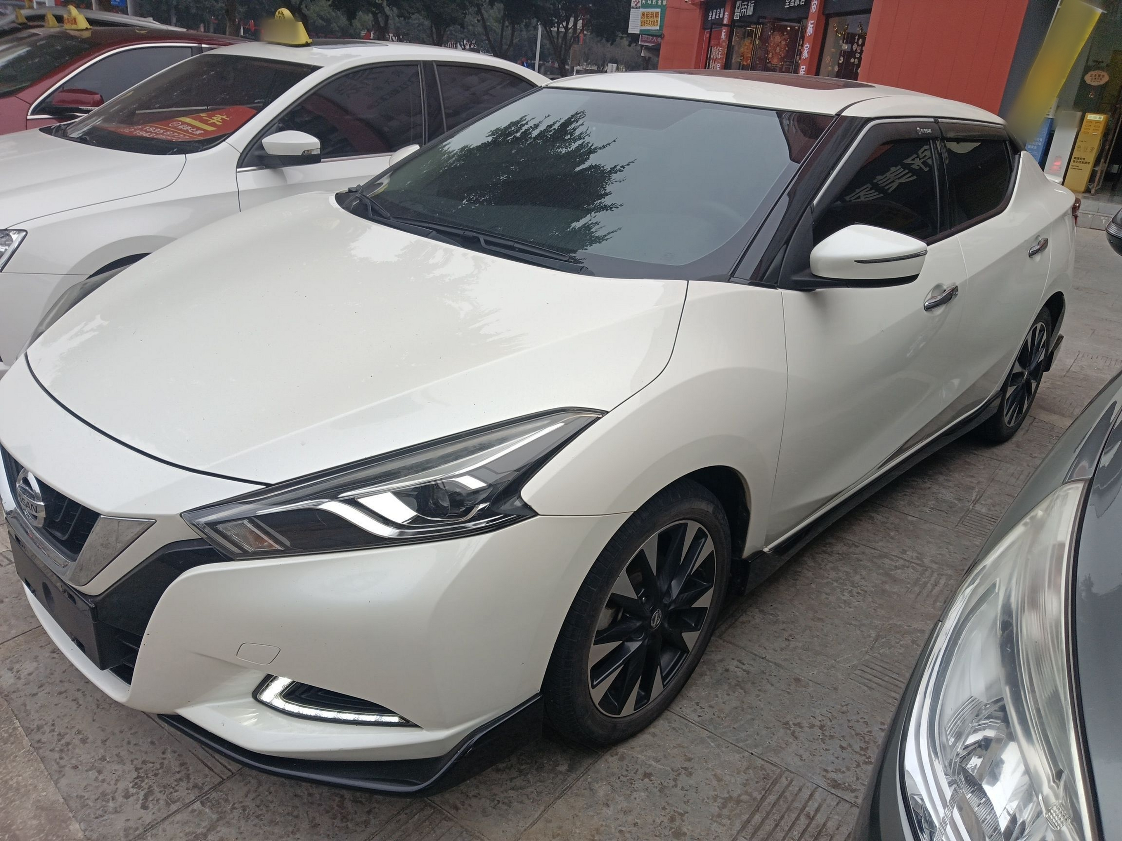 تحت مقدمة السيارة