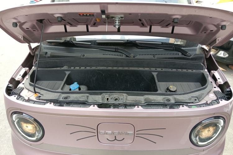 Used  Panda 2023 Panda Mini 200km Endurance Bear
