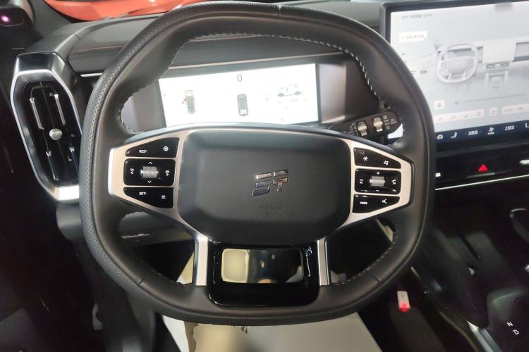 Used  Shanhai T2 2024 C-DM 208KM Mountain & Wilderness Edition
