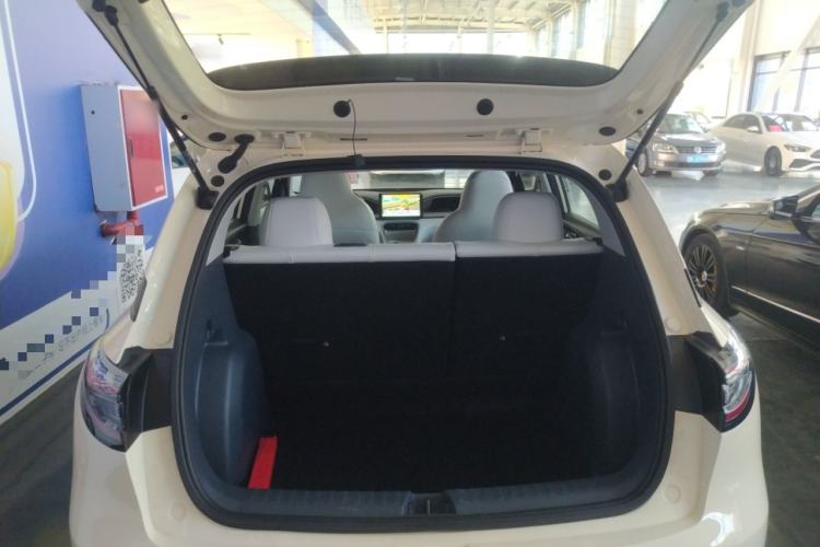 Used  Geome 2025 310km Youth Edition
