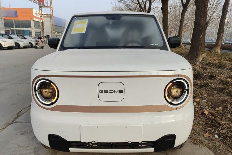 Used  Panda 2024 Panda Mini 200km Endurance Bear
