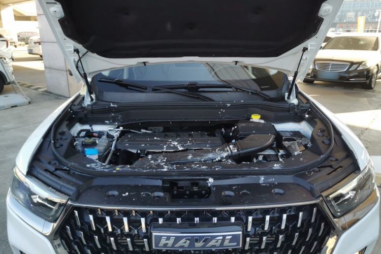 Used Haval H6 2023 National Trend Edition 1.5T Automatic Urban Version
