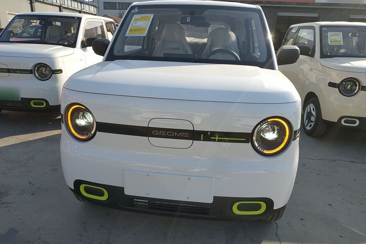 Used  Panda 2025 210 km – Yuanqi Bear
