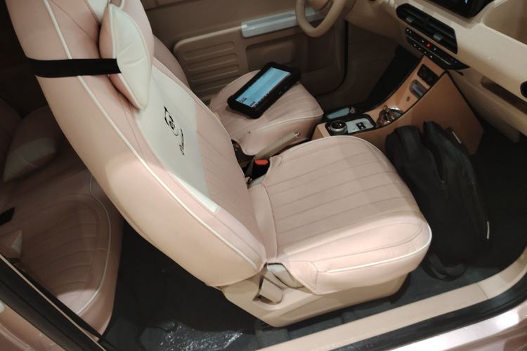 Used  Panda 2024 Panda Mini 200km Longteng PRO Edition
