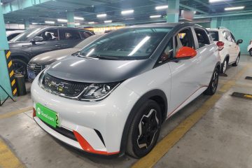 Used BYD Dolphin 2021 405 km Free Version