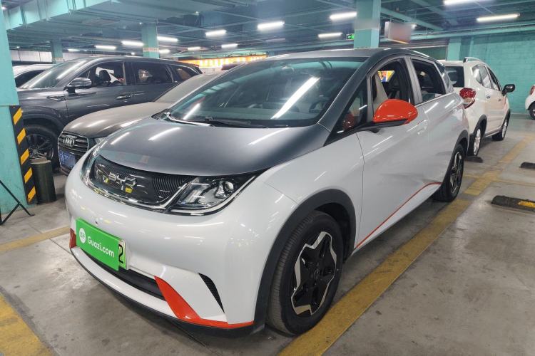 Used BYD Dolphin 2021 405 km Free Version
