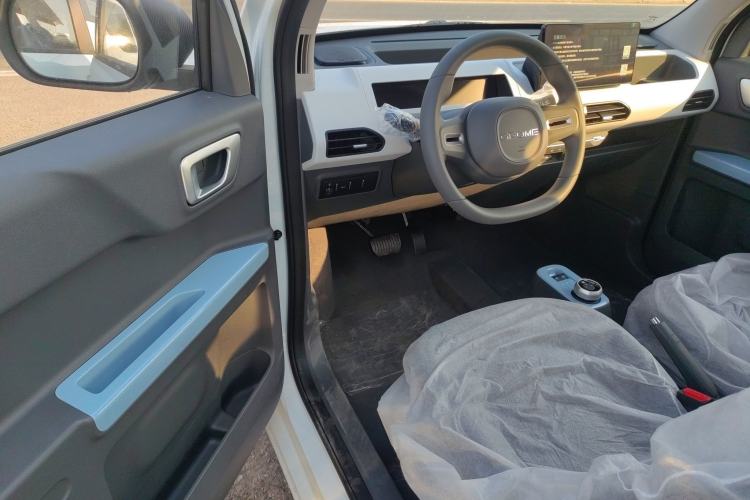 Used  Panda 2024 Panda Mini 200km Endurance Bear
