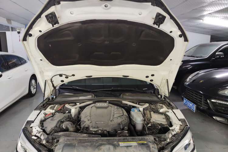 Used Audi A5 2017 Coupe 40 TFSI Fashion Model