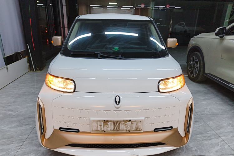 Used ORA White Cat 2022 Xiaoyue Mao Edition 360 km Luxury Model Lithium NMC