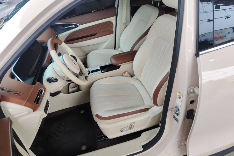 Used ORA Good Cat 2022 Morandi Edition 400km Standard Range Premium Version Lithium Iron Phosphate
