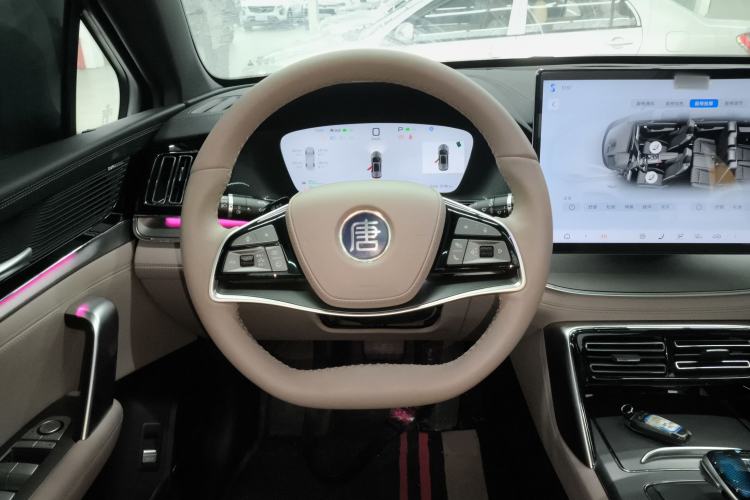 Used BYD Tang New Energy 2025 Intelligent Driving Version DM-i 115KM Flagship Edition