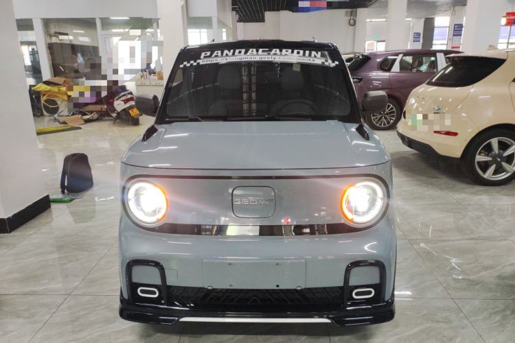 Used  Panda 2024 200km Panda Kart
