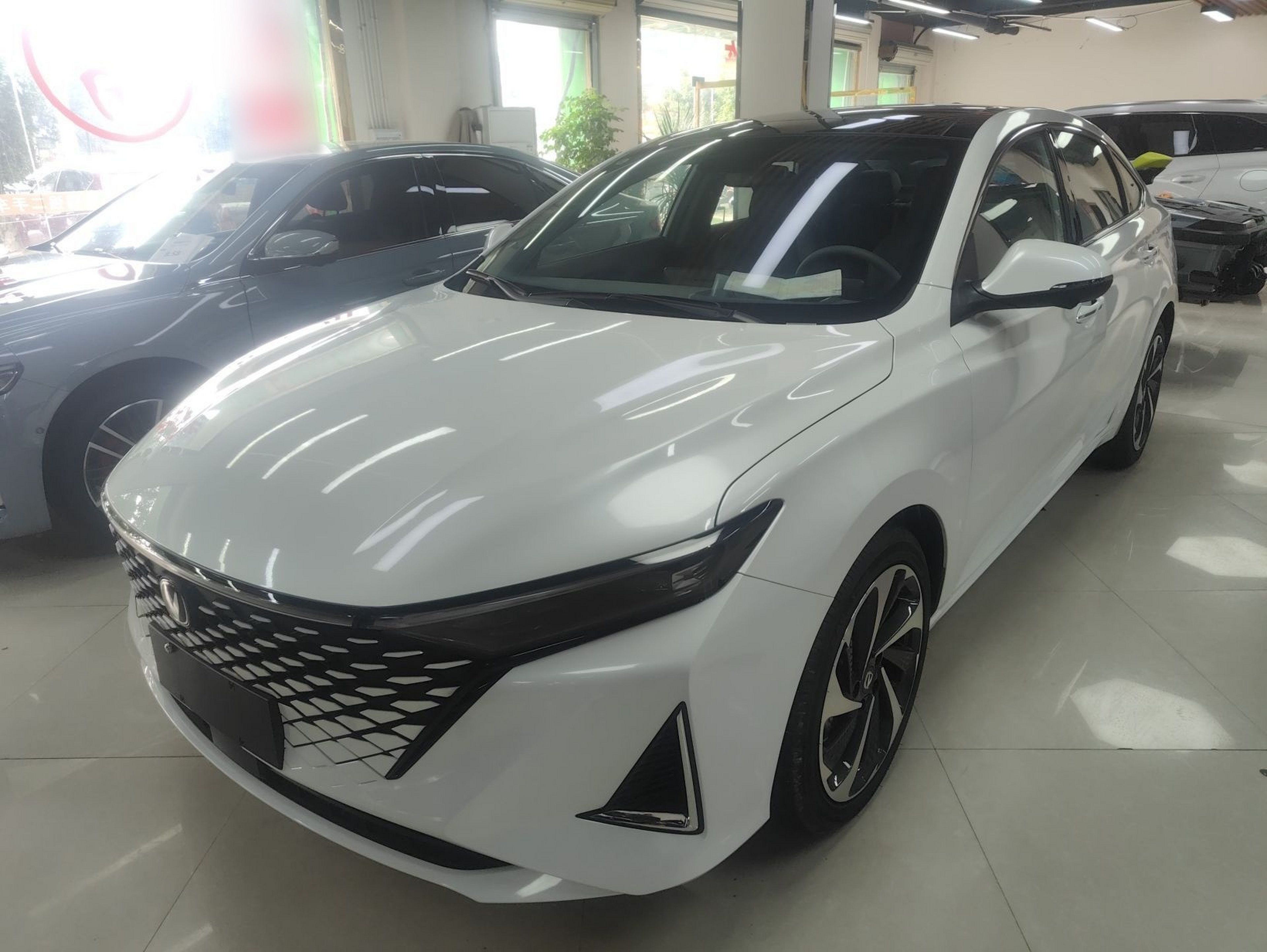 تحت مقدمة السيارة