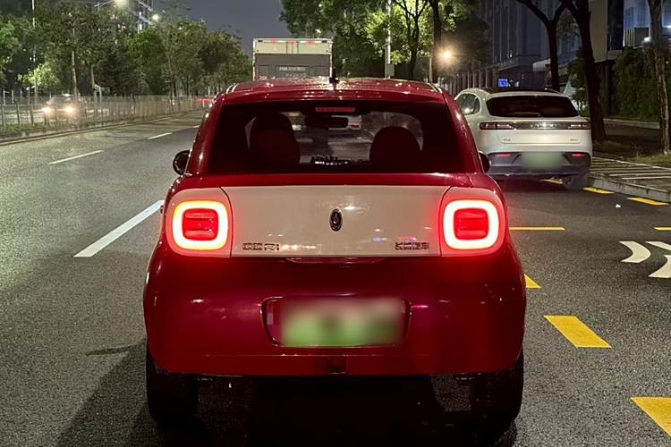 Used ORA Black Cat 2019 351 km Goddess Edition
