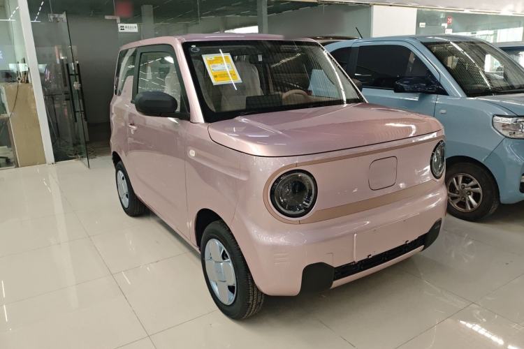 Used  Panda 2024 Panda Mini 200km Endurance Bear
