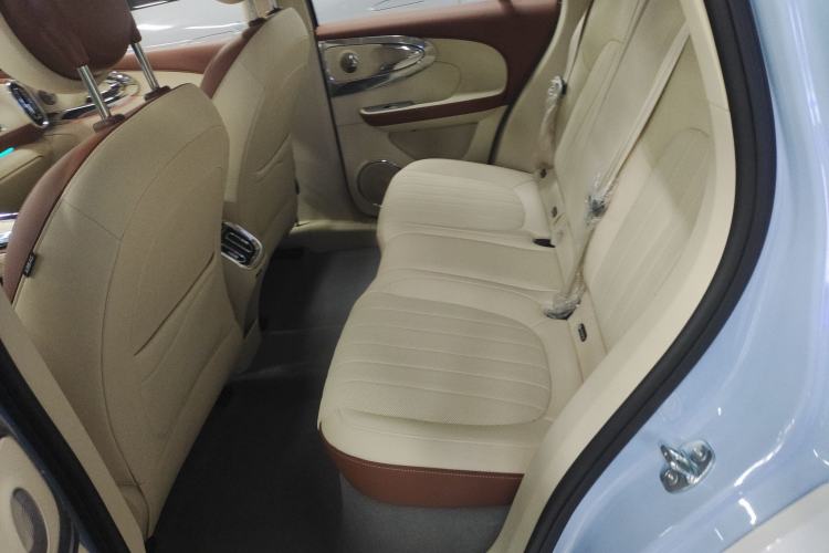 Used ORA Ballet Cat 2023 401 km Luxury Version
