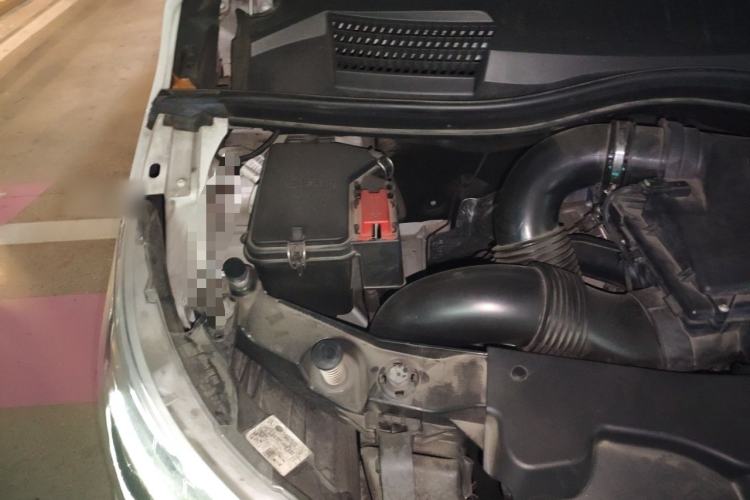 Used  LS Series 2020 LS560MX SKABINE Skylight
