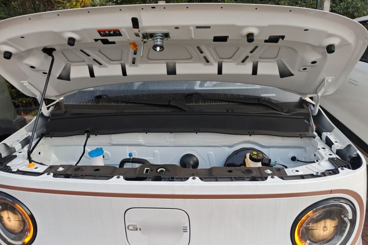 Used  Panda 2024 Panda Mini 200km Endurance Bear
