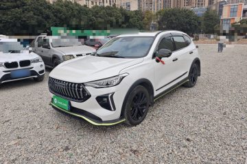 Used Haval LHERY 2021 High-Performance Version 1.5T Golden Rabbit