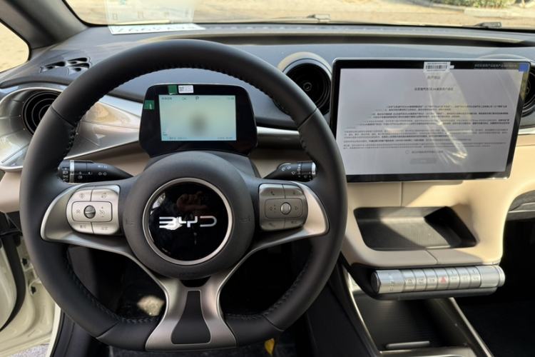 Used BYD Dolphin 2025 420km Free Edition
