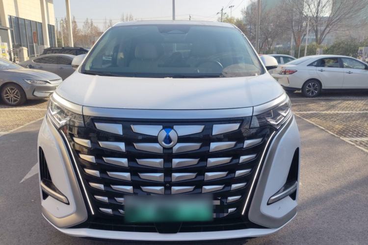 Used Denza D9 2024 DM-i 980 Four-Wheel Drive Flagship Model
