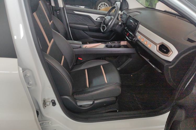 Used SOL E10X 2022 Flower Fairy Design Four-Leaf Clover