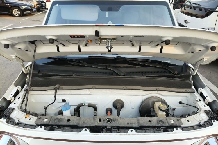 Used  Panda 2024 Panda Mini 200km Endurance Bear