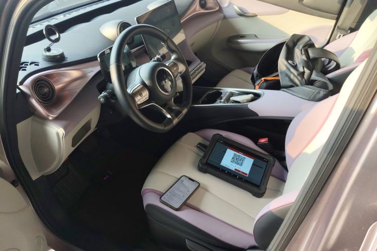 Used BYD Dolphin 2021 405 km Free Version
