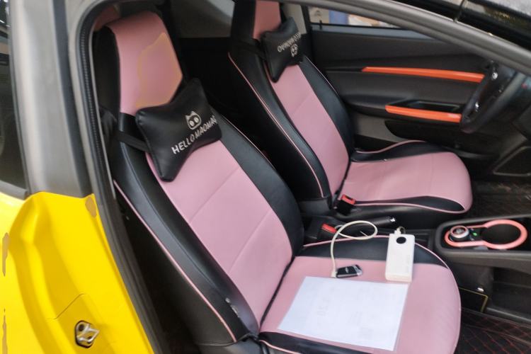 Used Chery Little Ant 2021 150 000 Yuan "Ant Fan" Edition Ant Cool Version with Ternary Lithium
