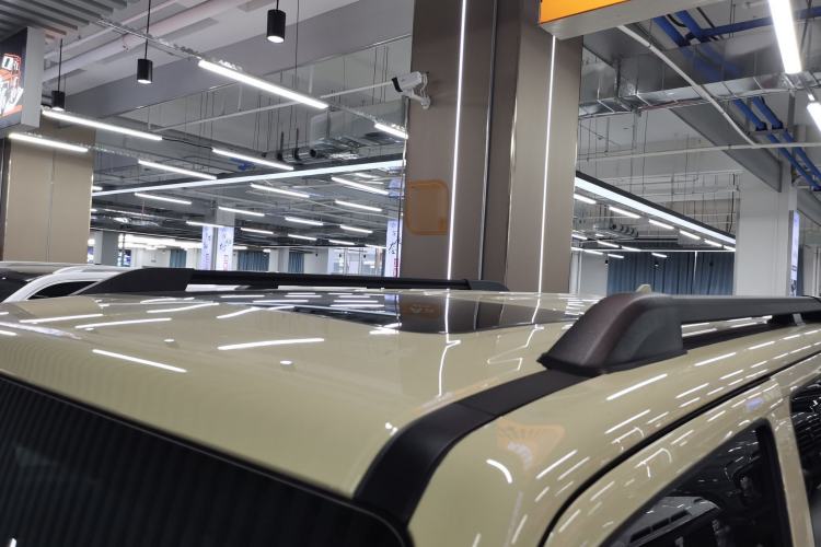 Used Tank 300 2025 2.0T Conqueror