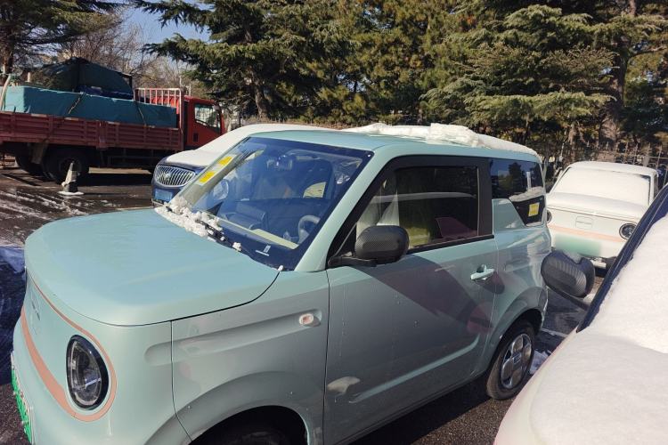 Used  Panda 2024 Panda Mini 200km Endurance Bear