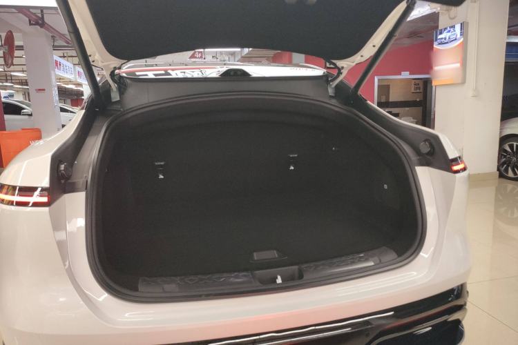 Used  06 2025 Max All-Electric Version
