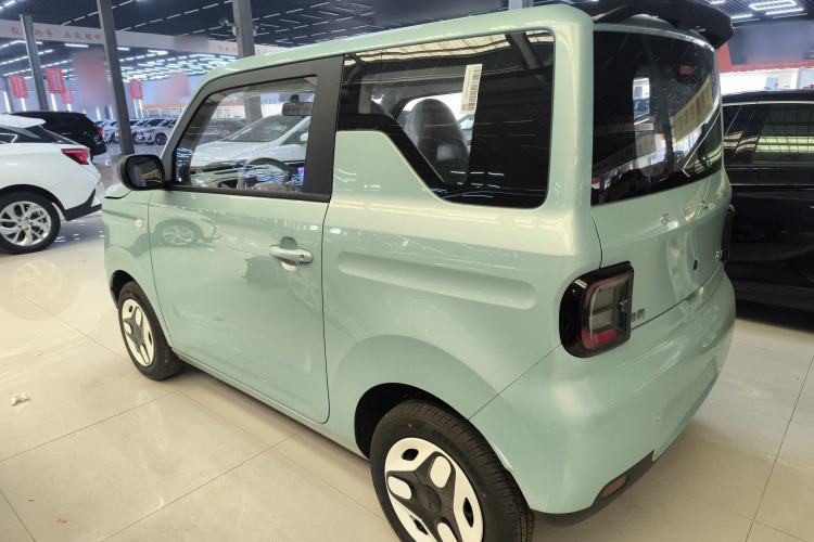 Used  Panda 2025 210 km – Yuanqi Bear
