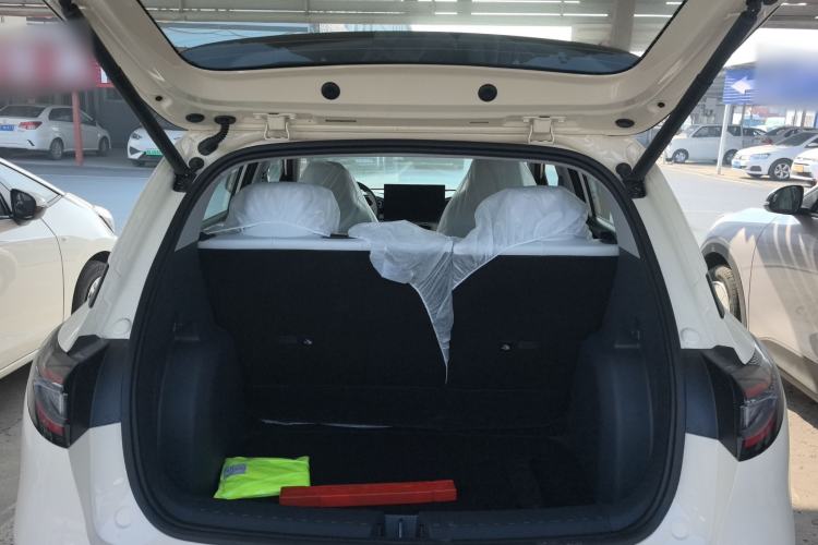 Used  Geome 2025 310km Dream Edition
