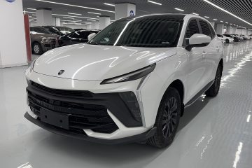 Used FORTHING T5 EVO 2024 Kungbiao Edition 1.5TD DCT Platinum Model