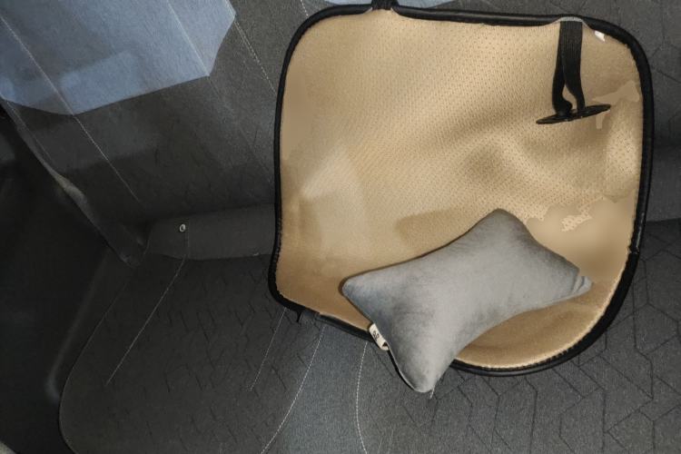 Used  Panda 2024 Panda Mini 200km Endurance Bear
