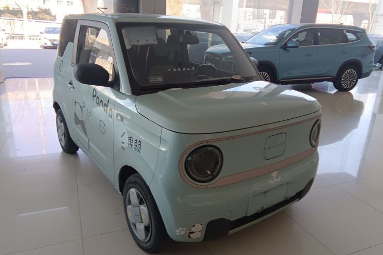 Used  Panda 2023 Panda Mini 200km Endurance Bear
