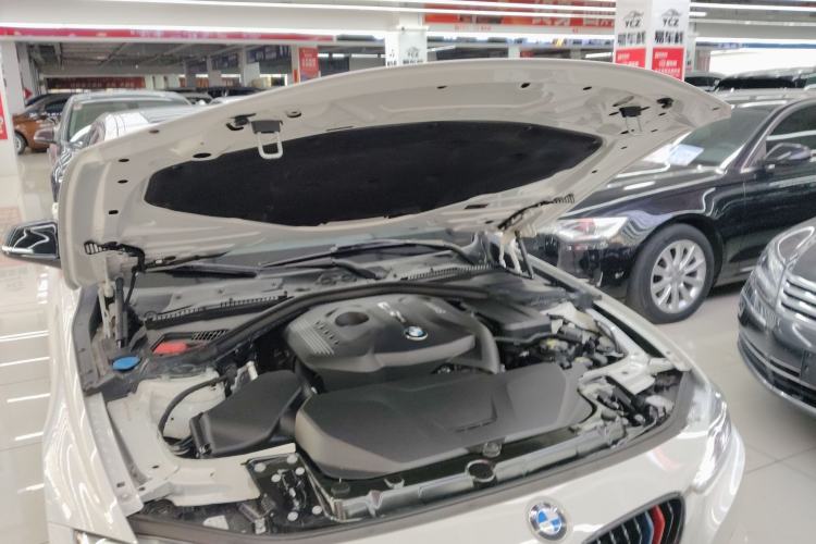 Used BMW 3 Series 2018 320Li M Sport Night Edition
