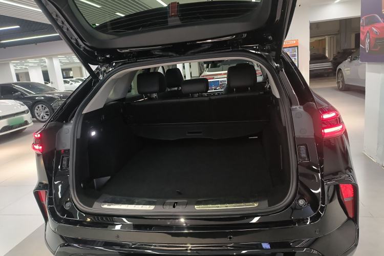 Used Wey Mocha New Energy 2024 Hi4 Four-Wheel Drive Long-Range Version
