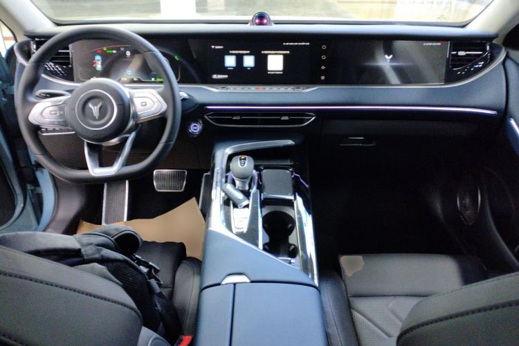 Used VOYAH FREE 2021 Two-Wheel Drive Standard Pure Electric City Edition
