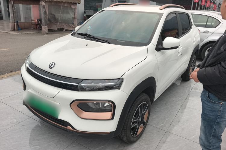 Used Dongfeng NAMMI EX1 2023 PRO Light Wind Edition Standard Model