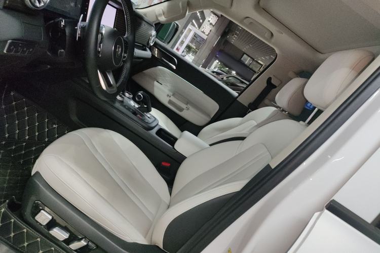 Used Tank 300 New Energy 2024 Hi4-T
