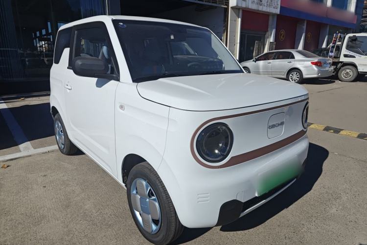 Used  Panda 2024 Panda Mini 200km Endurance Bear
