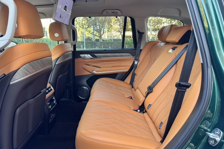 Used Tank 500 New Energy 
