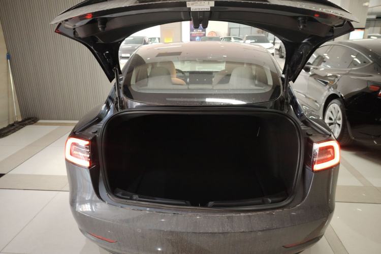 Used Tesla Model 3 2019 Long-Range All-Wheel-Drive Version
