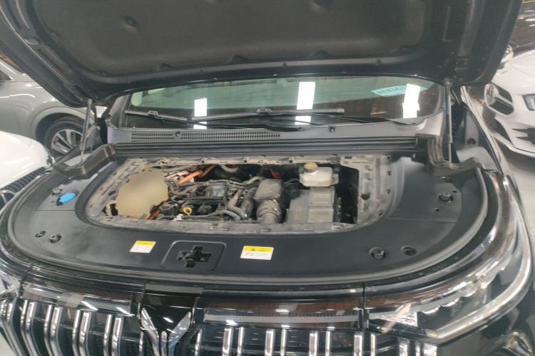 Used VOYAH Dream 2024 PHEV Extended-Range Premium Edition
